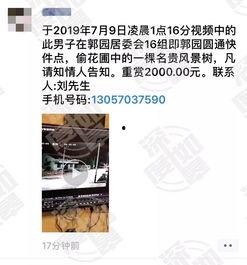 网友爆料视频在哪看,一网打尽热门爆料瞬间
